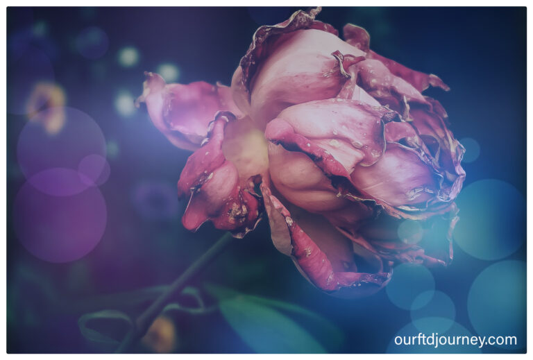 End-of-Life Caregiving: Hospice Morphine, Feeding Tools, and My Mom’s Peaceful Passing